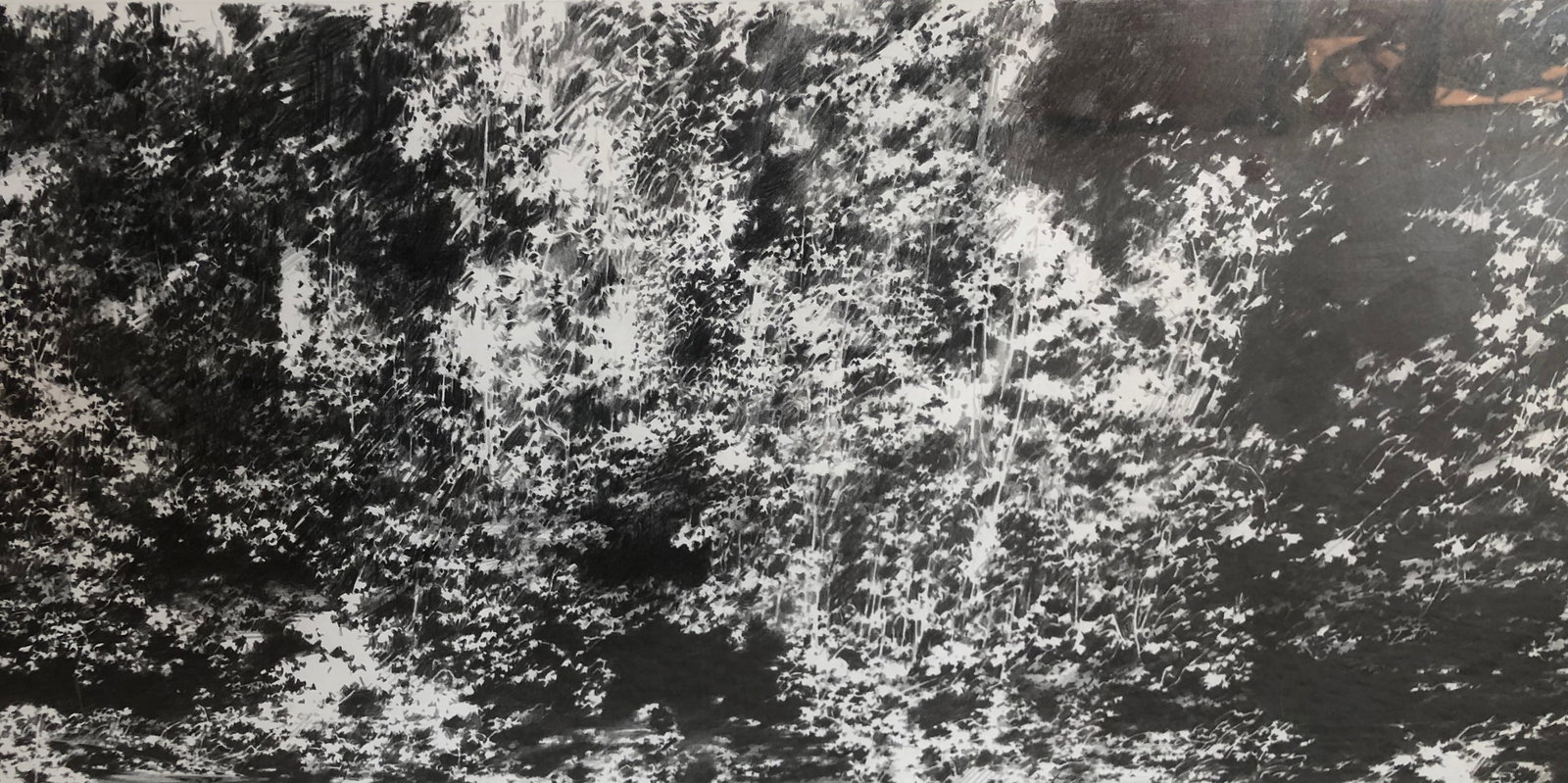 Vitek Marcinkiewicz -Graphite on paper 2005- Signed - 2