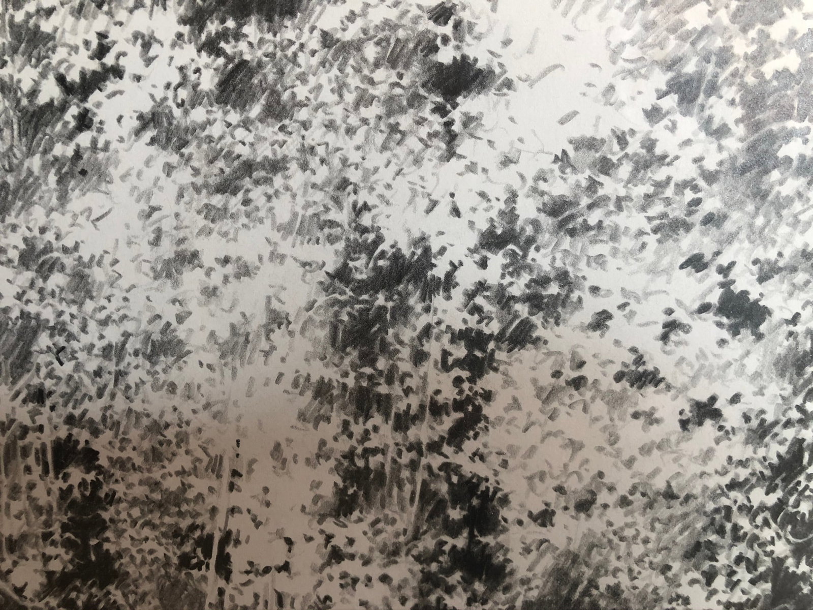 Vitek Marcinkiewicz -Graphite on paper 2005- Signed - 3