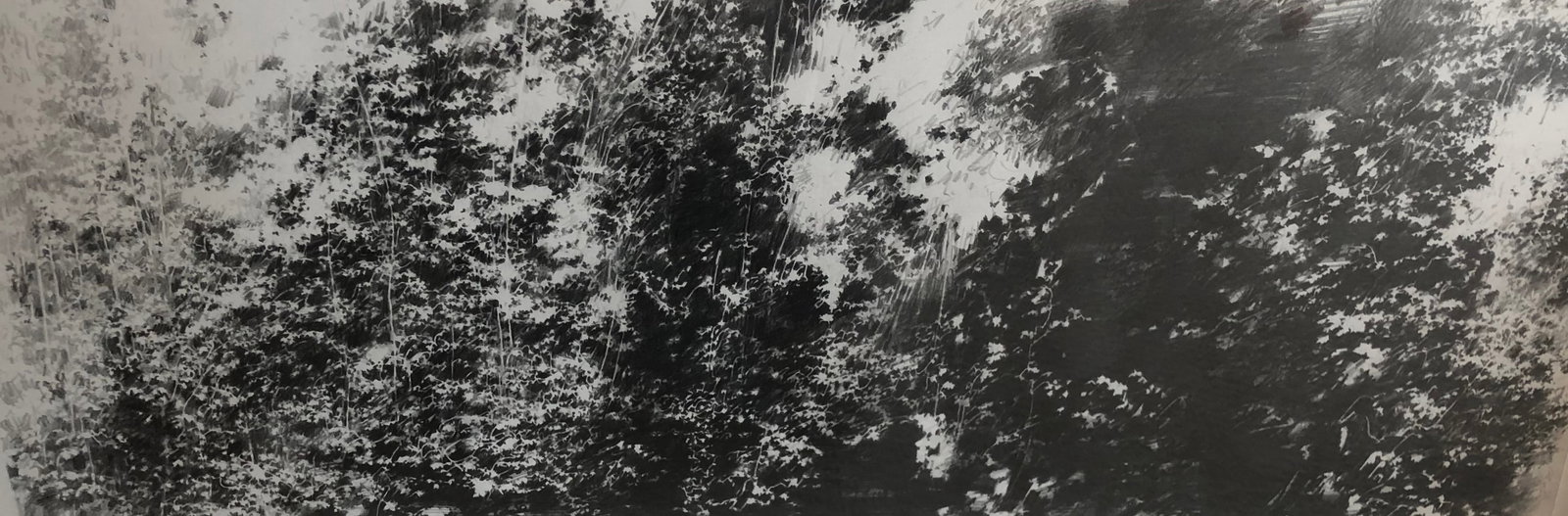 Vitek Marcinkiewicz -Graphite on paper 2006 Signed - 2