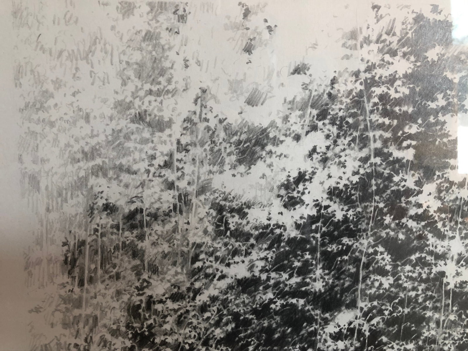 Vitek Marcinkiewicz -Graphite on paper 2006 Signed - 3