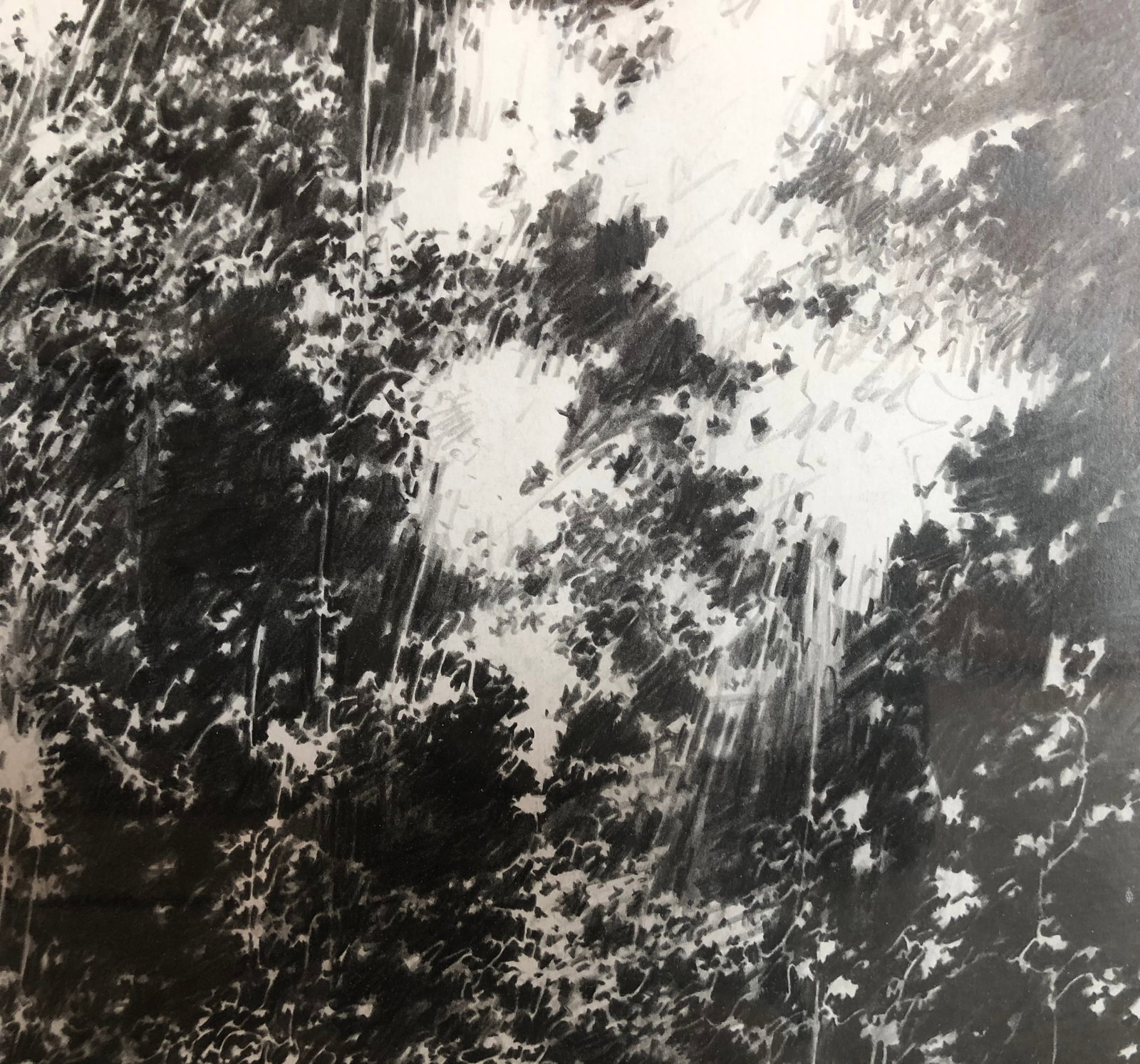 Vitek Marcinkiewicz -Graphite on paper 2006 Signed - 4