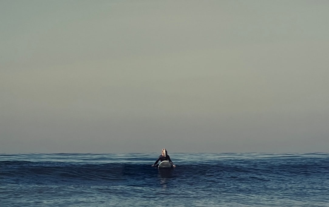 Rene & Radka - photograph - surfer dog in the water: Rena & Radka (Rene Hallen - Germany / Radka Leitmeritz -Czech Rep) Limited Edition proof. surfer dog in the water. Exhibitions in Paris, Slovakia, Italy, NY. 2010 National Museum of Photography in