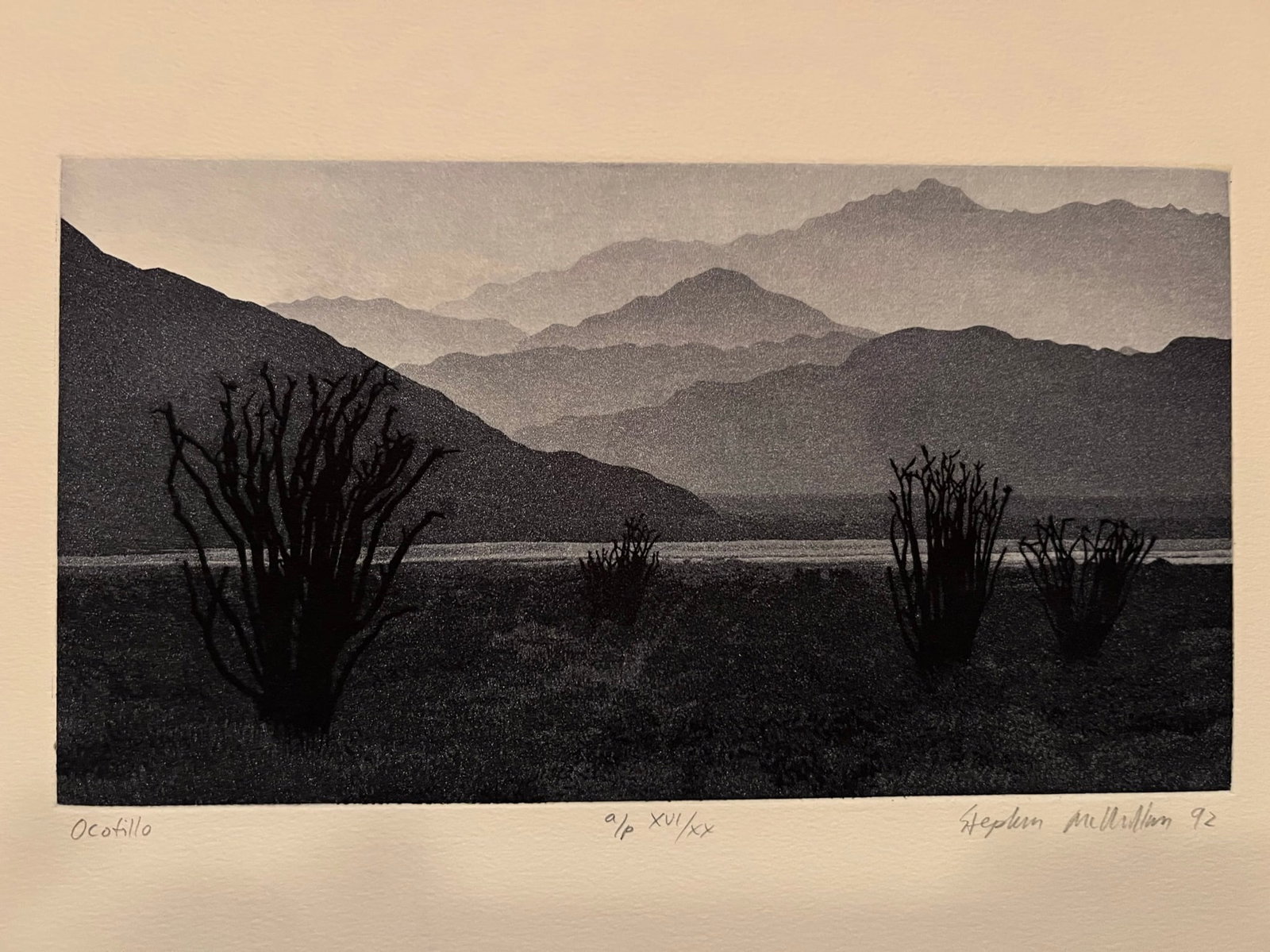Stephan McMillan -Aquatint Etching - 3