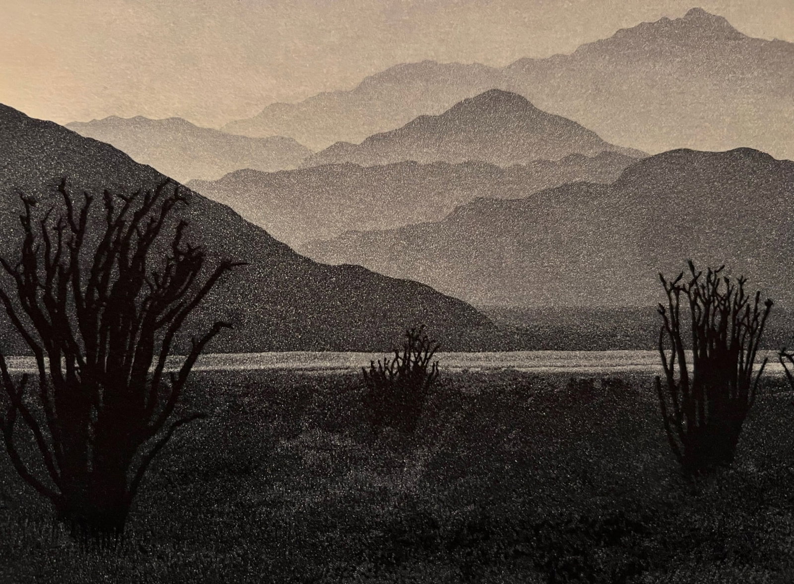 Stephan McMillan -Aquatint Etching - 4