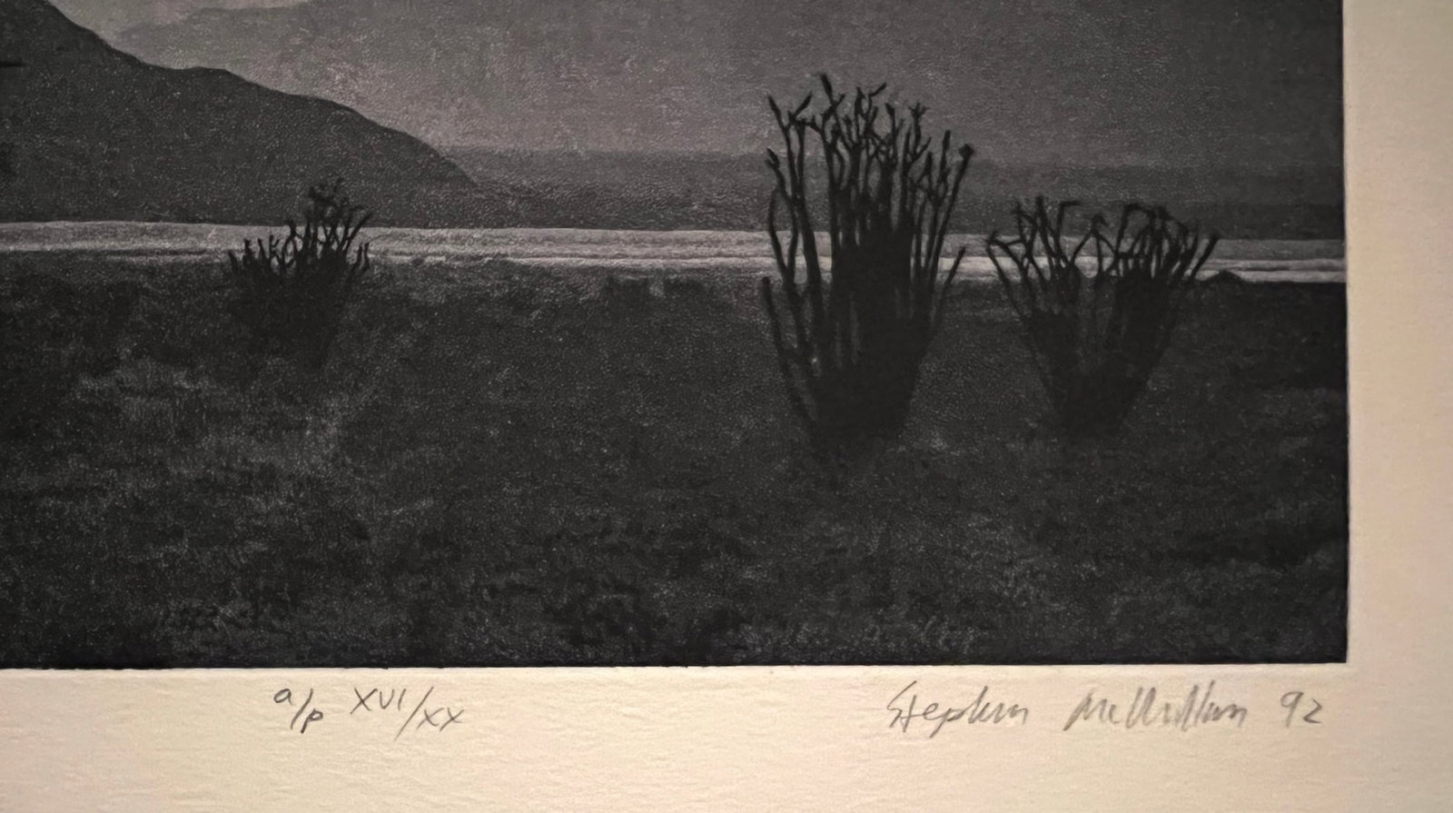 Stephan McMillan -Aquatint Etching - 5