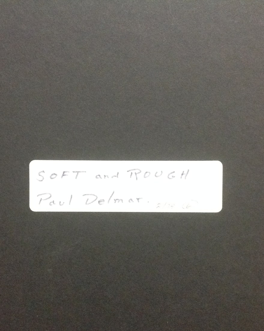 Paul Delmar - Soft and Rough - 3
