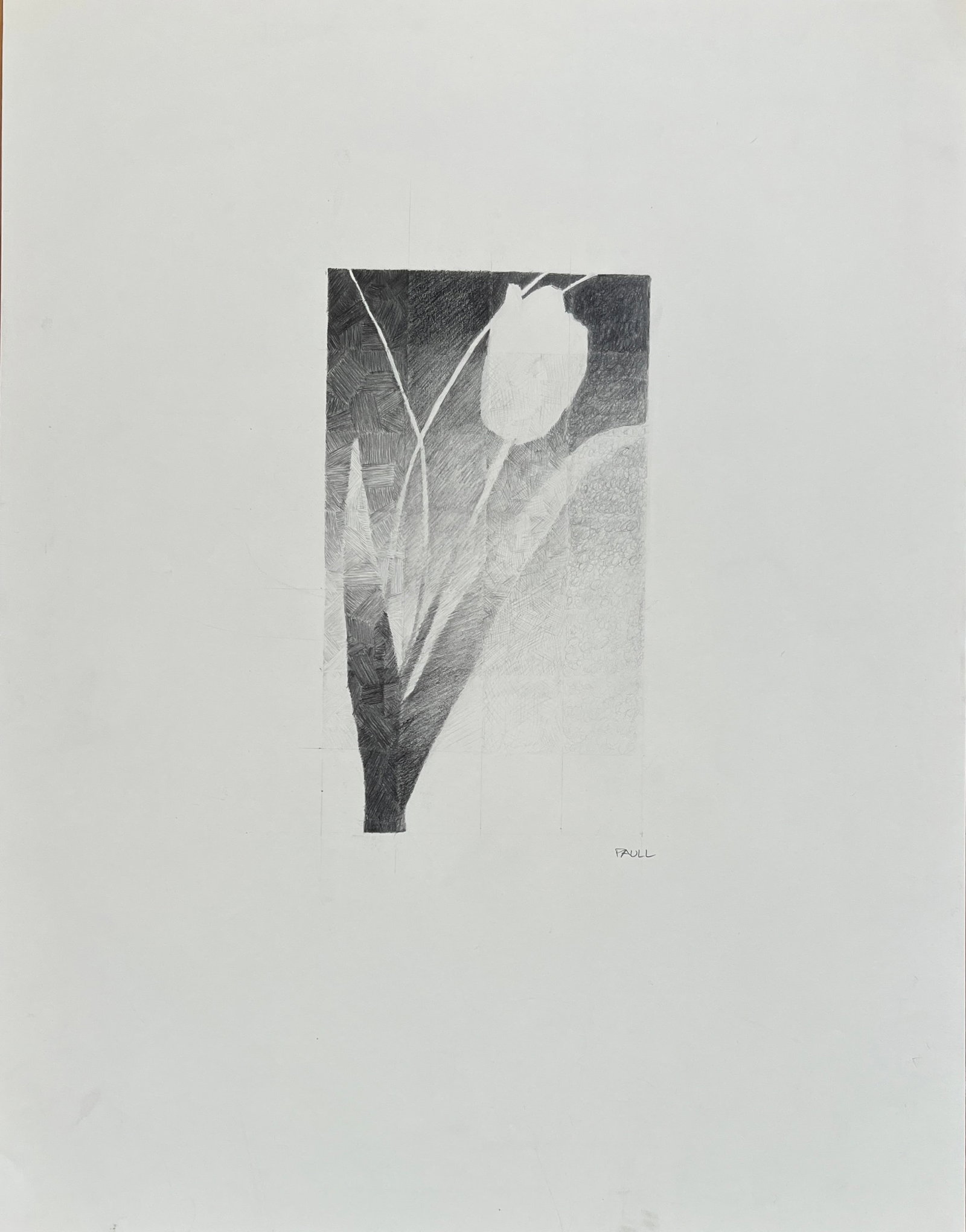 Donald Paull ( Australia) Graphite - Signed (1 of 2)