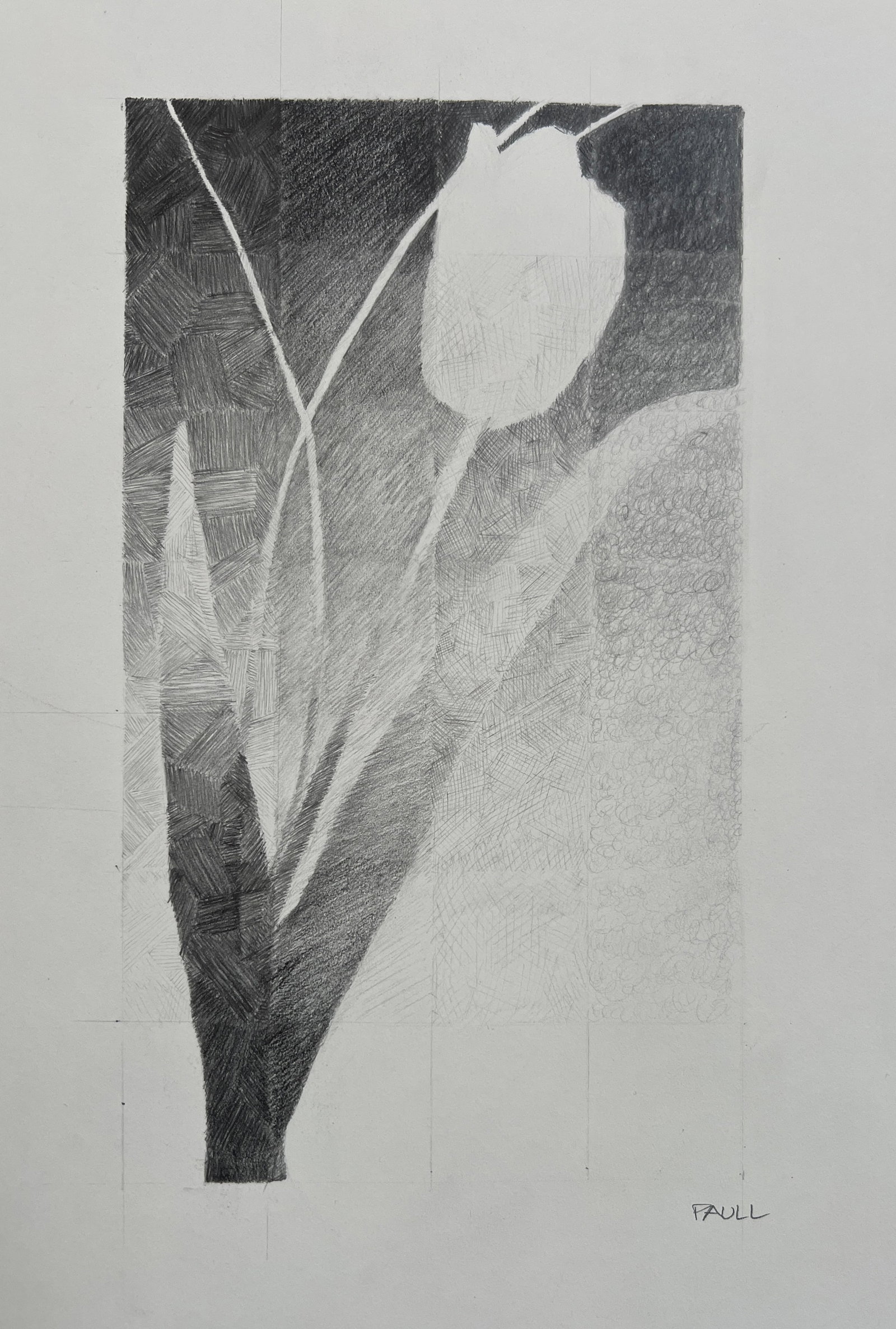 Donald Paull ( Australia) Graphite - Signed - 2