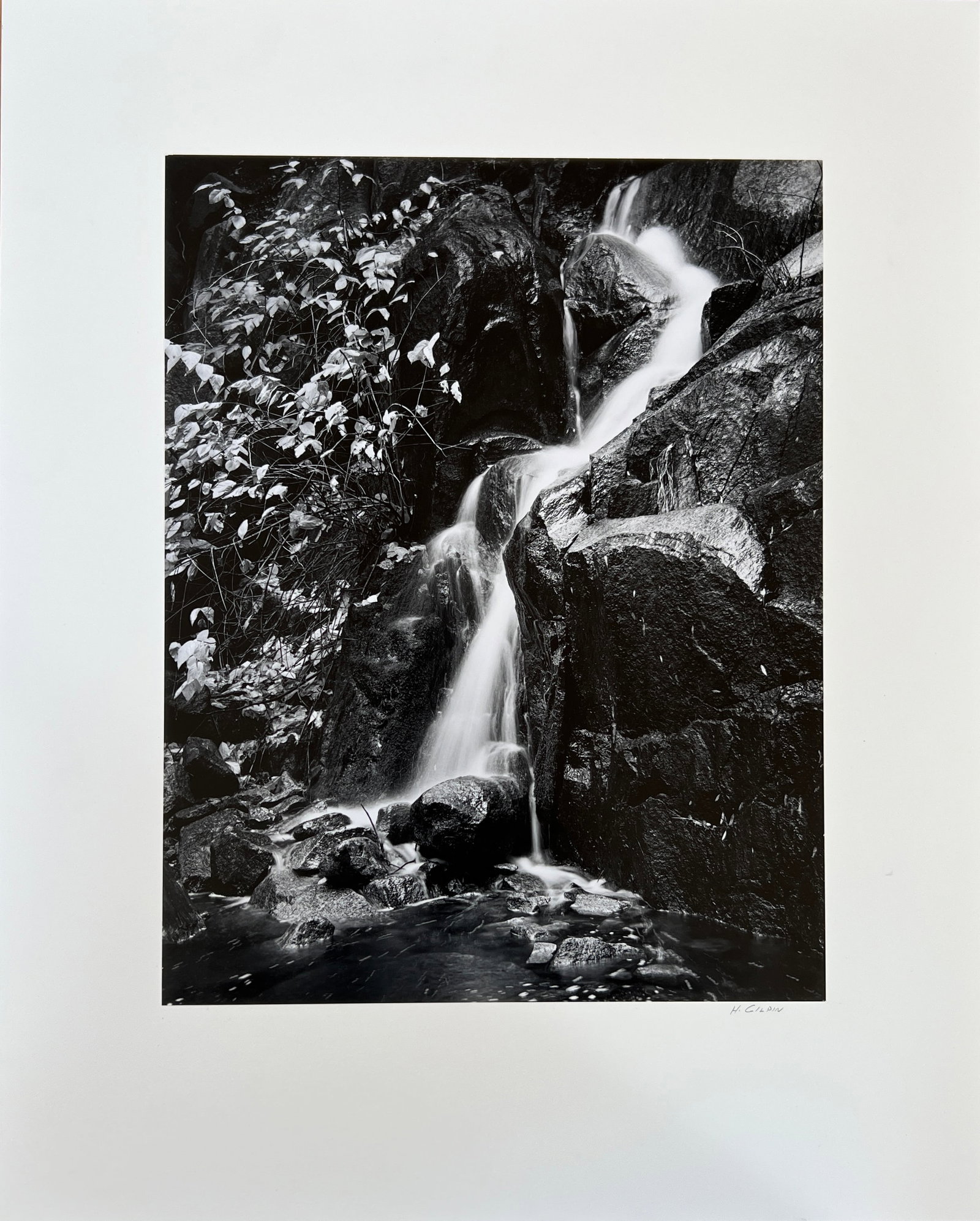 Henry Gilpin - Photograph signed - 2