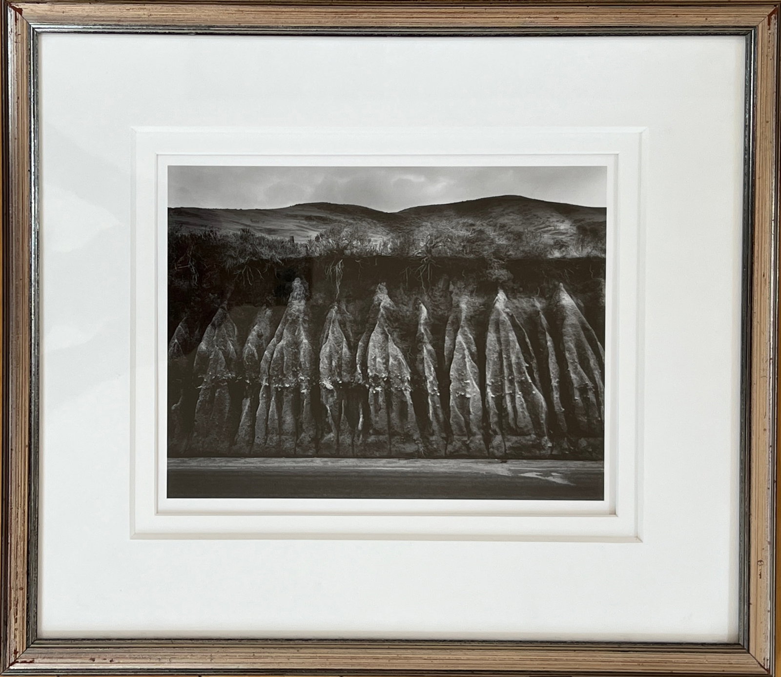 Wynn Bullock - photograph (1 of 4)