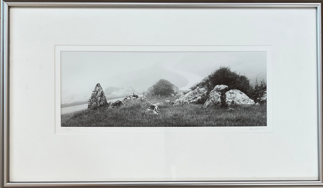 Lyle Gomes (b. 1954) Photograph signed. Edition 1 / 100: Lyle Gomes (b. 1954) Photo: 6.75 x 18.5. Edition 1 of 100. Frame: 29.5 x 17.5. Gomes received his MA SF Univ 1980, Fulbright Scholarship Award and Rockefeller foundation residency in Italy. Known for