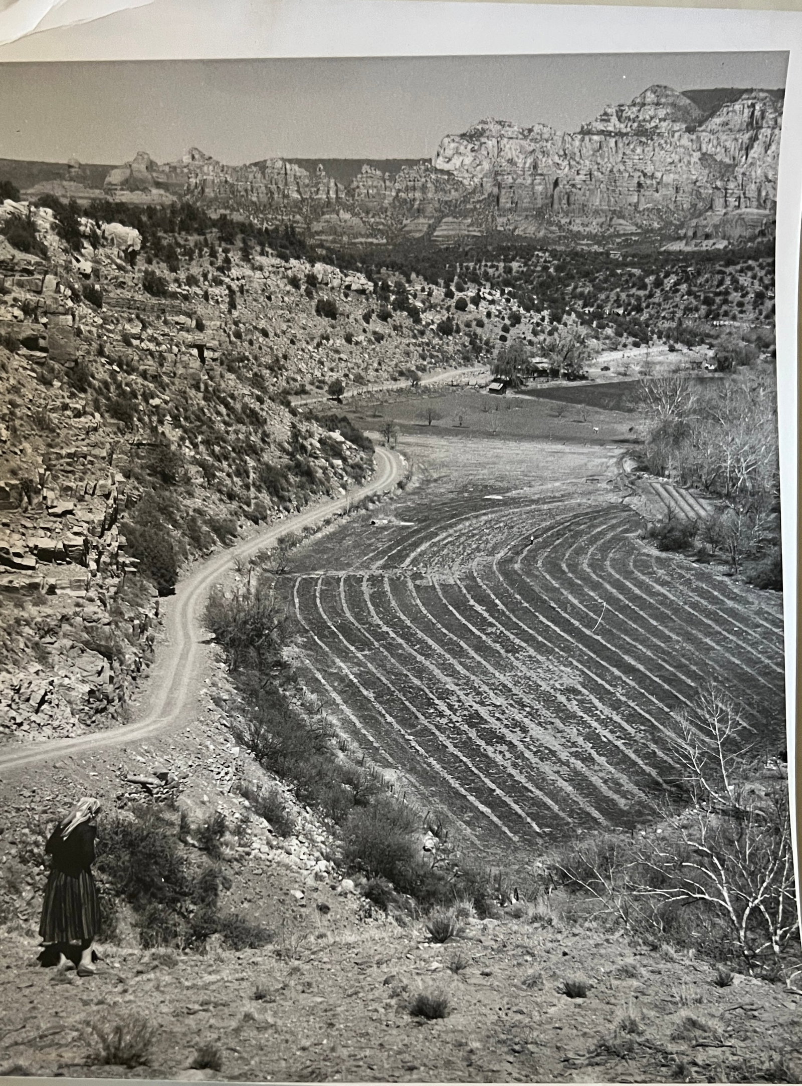 Marguerite Baker Johnson - Mid Century Photograph- Prominent Americana Photographer. Valley below -: Photographer : Marguerite Baker Johnson. Black and white Vintage Mid Century Photograph. Dimensions: 10 x 8". Signed Verso. Johnson was a native of Brussles Belgium and was a noted female photographer