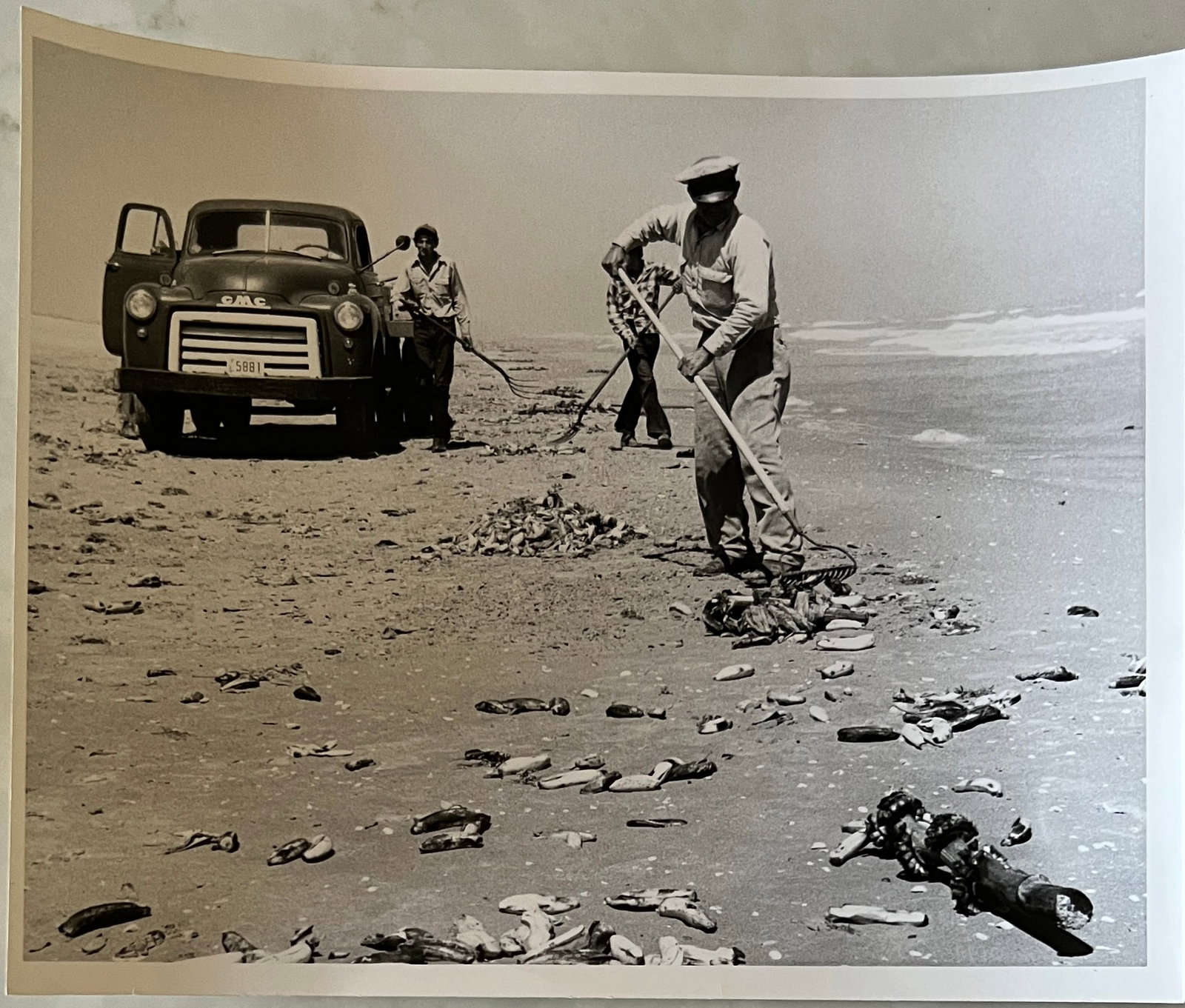 Marguerite Baker Johnson - Mid Century Photograph- Prominent Americana Photographer. Beach cleane (1 of 2)