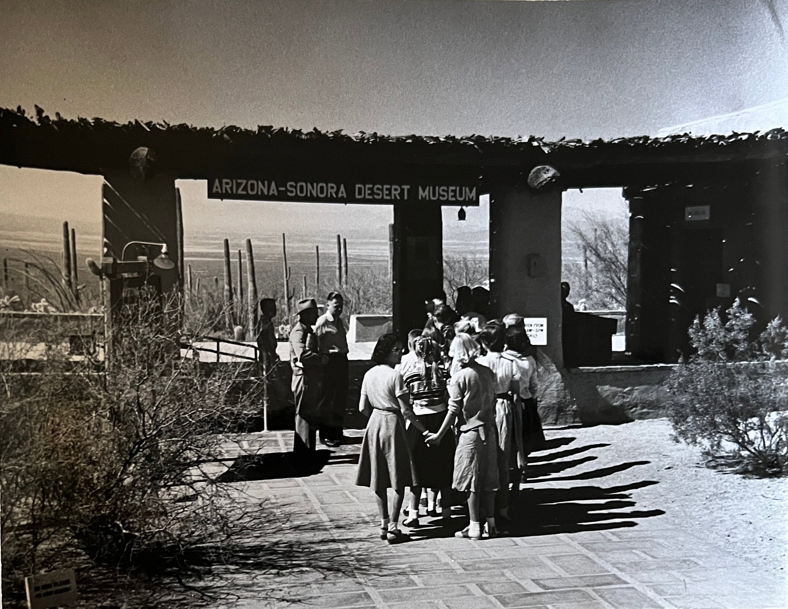 Marguerite Baker Johnson - Mid Century Photograph- Prominent Americana Photographer. Arizona Sonora (1 of 2)