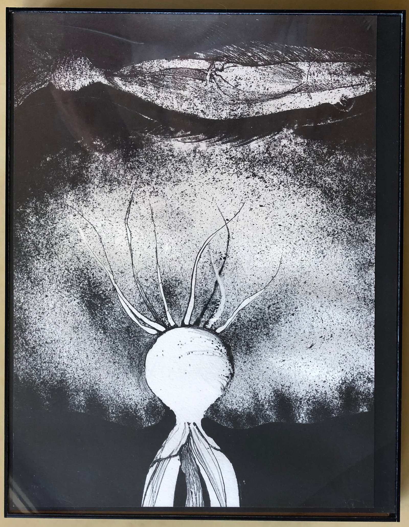 Karyn Zarubica - Mid Century Lithograph: Karyn Zarubica - Lithograph Signed and Dated lower right Year: 1973 Framed: yes, plexi box (can ship without if desired). Dimension: 18 1/4 x 13" Litho: 17 1/2 x 14 1/4" Gorgeous mid century print by 
