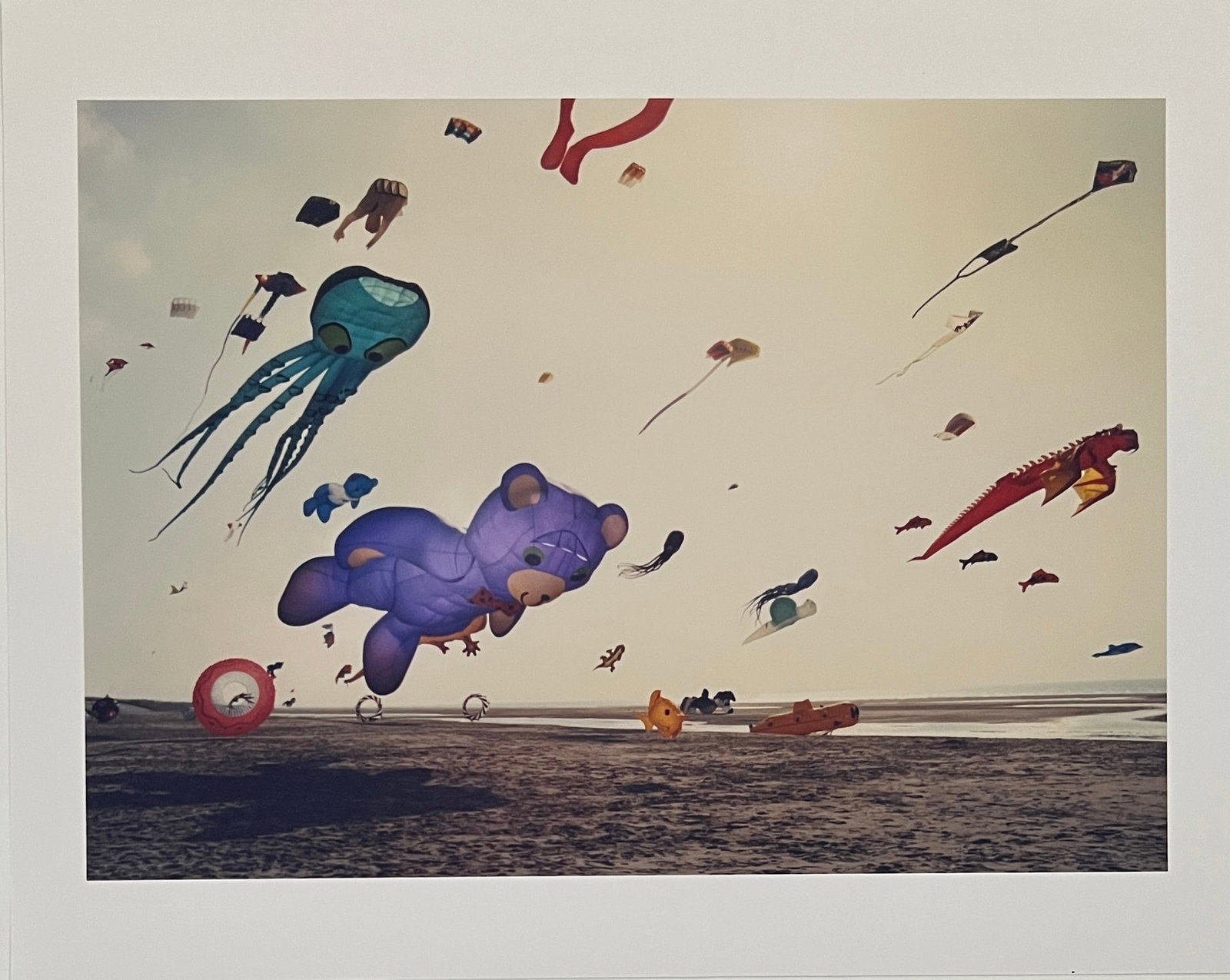 Rene & Radka - photograph - kites at beach (1 of 1)