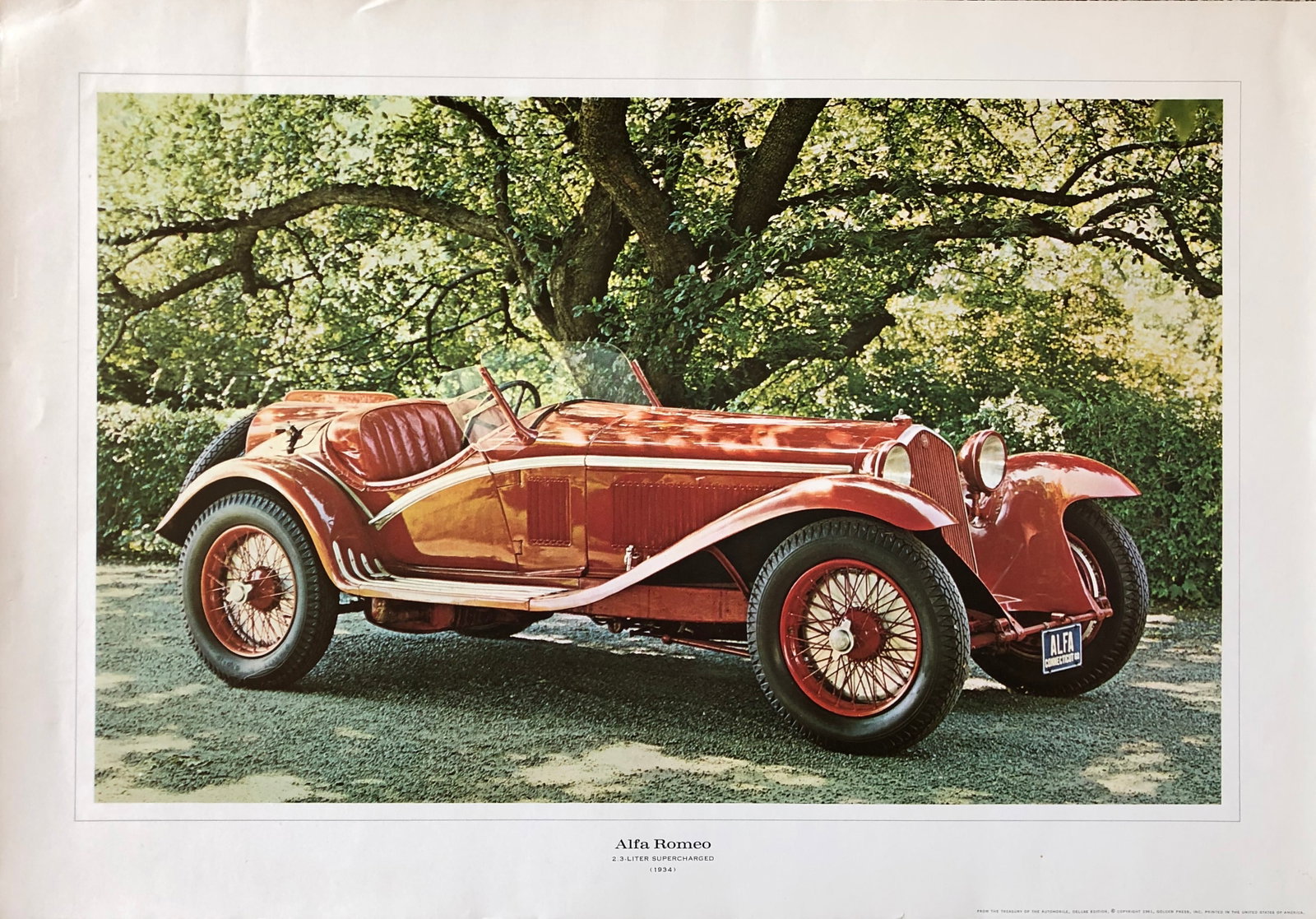 Alfa Romeo (1 of 1)