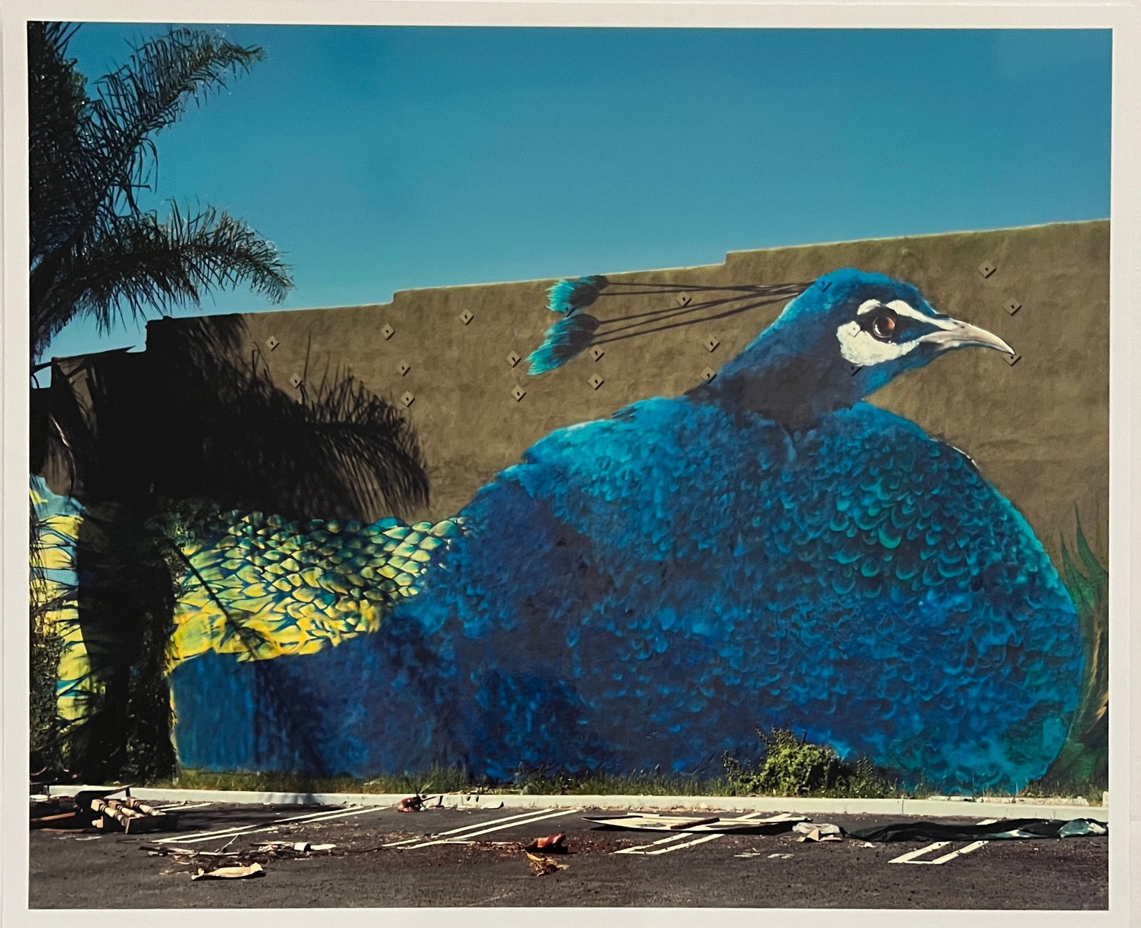Rene & Radka - Photograph - Peacock painting on a wall: Rena & Radka (Rene Hallen - Germany / Radka Leitmeritz -Czech Rep) Limited Edition proof. Peacock painting on a wall. Exhibitions in Paris, Slovakia, Italy, NY. 2010 National Museum of Photography in 