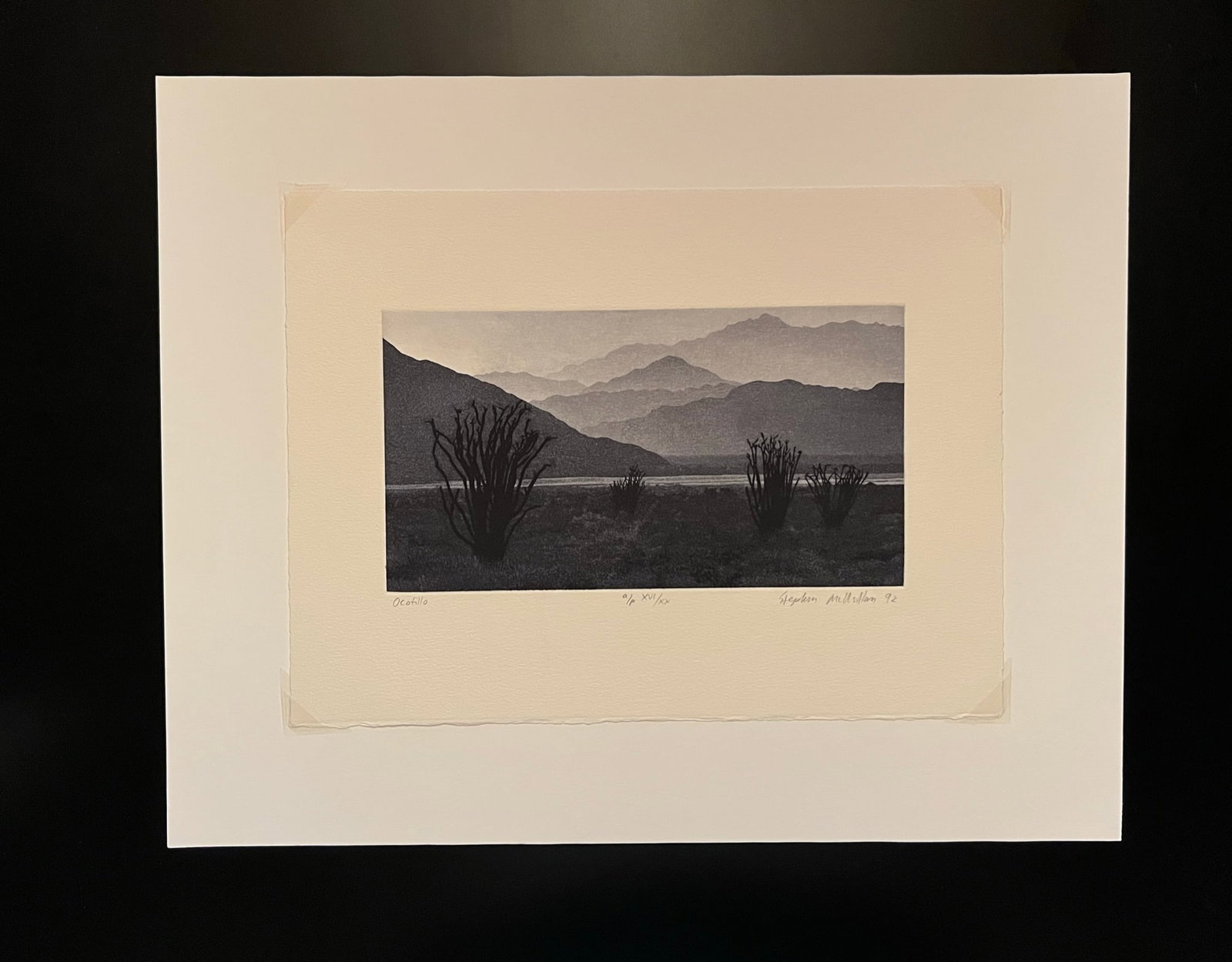Stephan McMillan -Aquatint Etching (1 of 5)