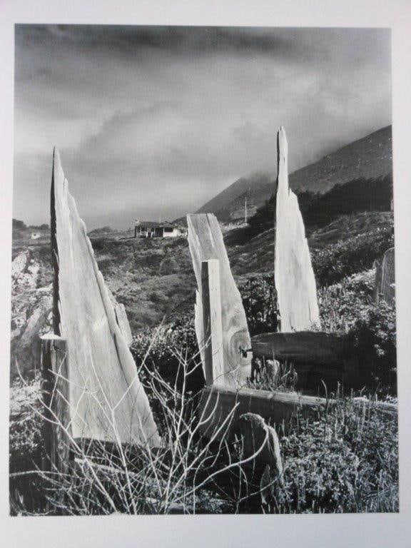 Paul Delmar- The Sentinels: Paul Delmar - 1970's black and white photograph titled on verso, " The Sentinels".This photograph came out of an excellent and extensive collection. Dimensions: image 13 7/8" h x 10 7/8" l Board: