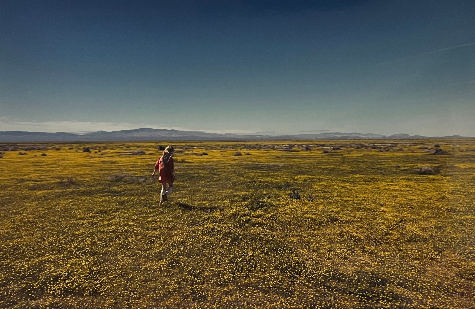 Rene & Radka Limited Edition AP print- Young girl walking along in a vast meadow: Rena & Radka (Rene Hallen - Germany / Radka Leitmeritz -Czech Rep) Limited Edition proof. Young girl walking along in a vast meadow. Exhibitions in Paris, Slovakia, Italy, NY. 2010 National Museum of 