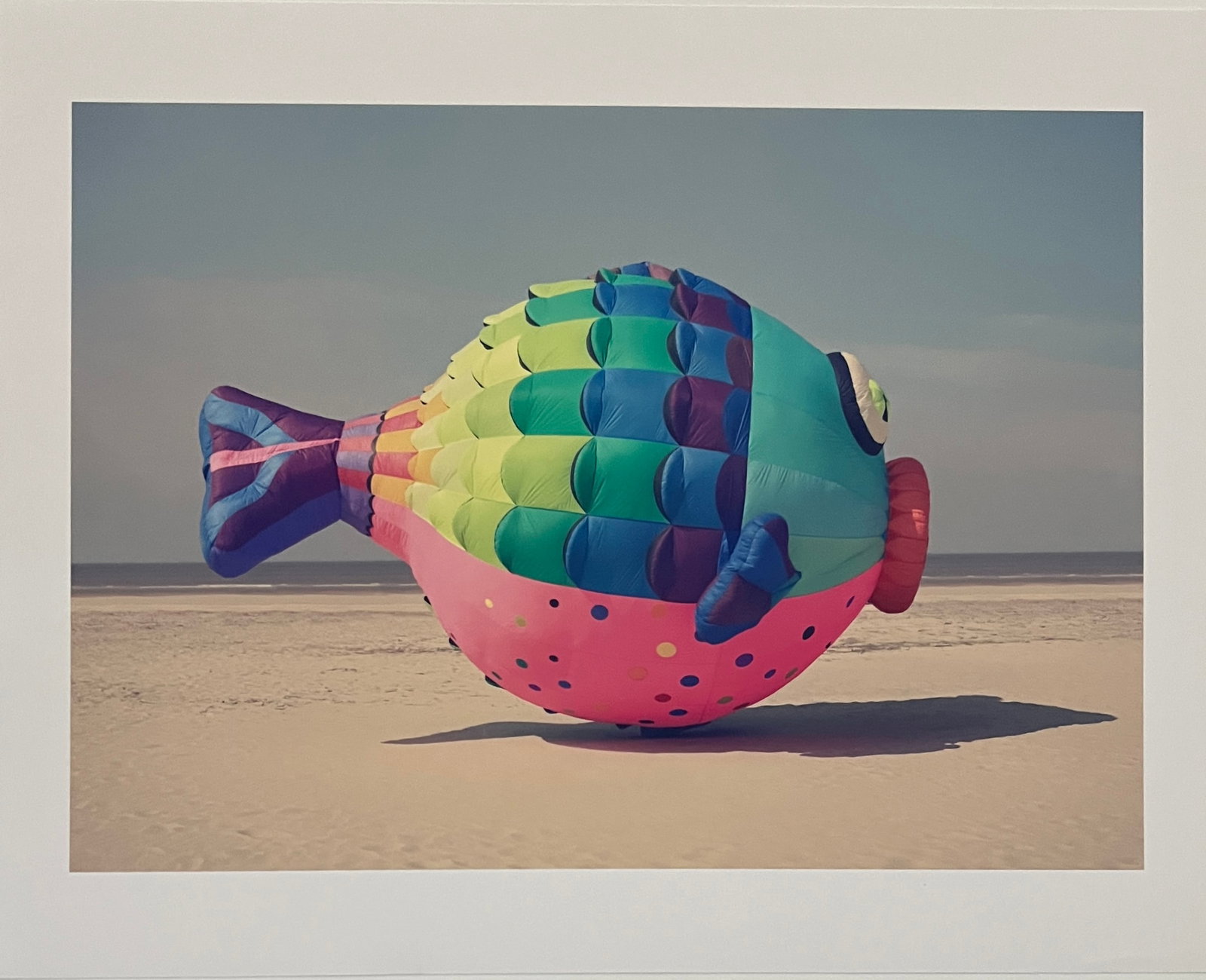 Rene & Radka - Photograph - pufferfish on the beach: Rena & Radka (Rene Hallen - Germany / Radka Leitmeritz -Czech Rep) Limited Edition proof. Puffer fish on the beach. Exhibitions in Paris, Slovakia, Italy, NY. 2010 National Museum of Photography in Fl