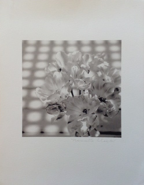 Nanette Clark - Signed (1 of 2)