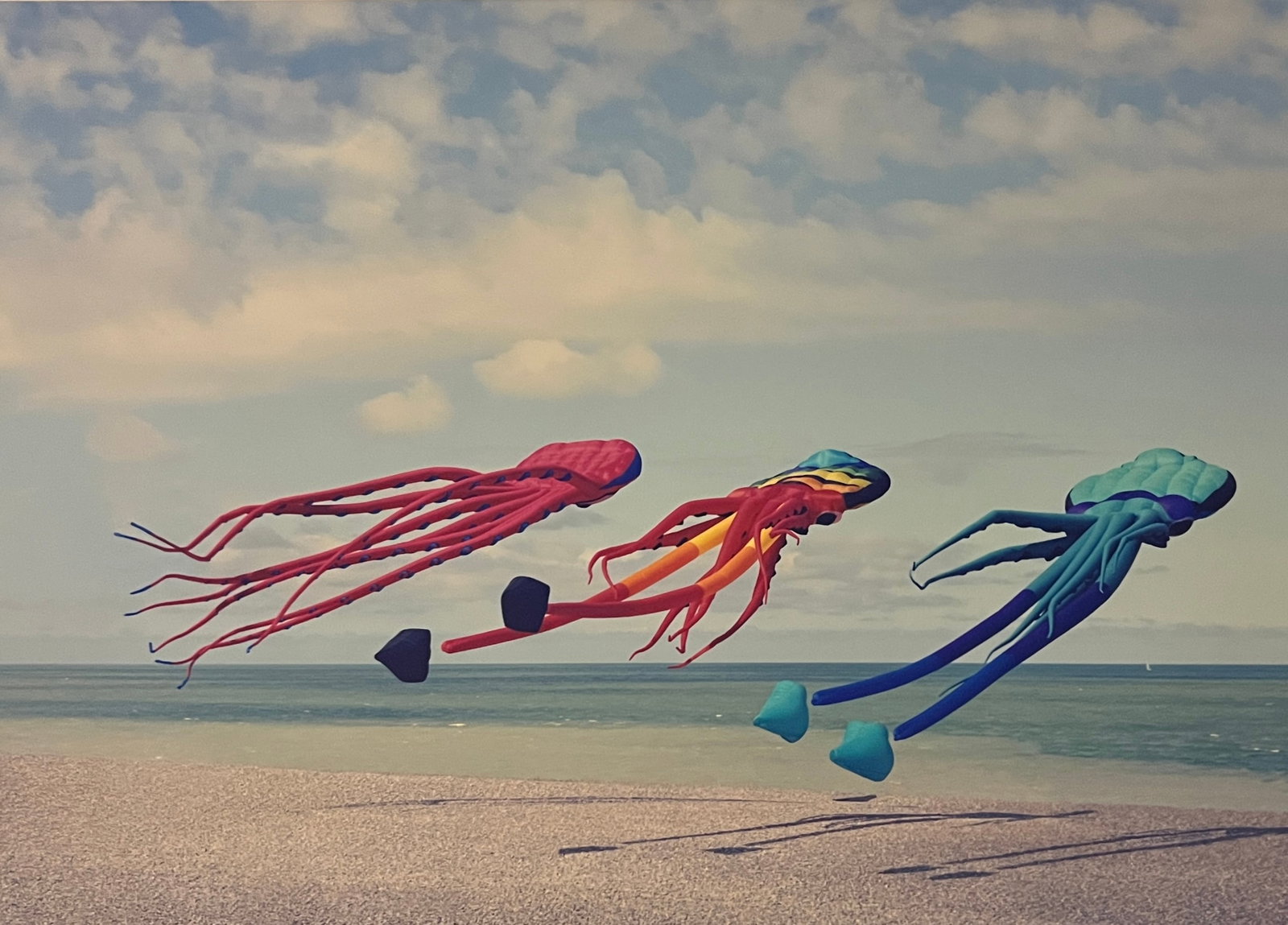 Rene & Radka Limited Edition AP print- Animated kites at the beach: Rena & Radka (Rene Hallen - Germany / Radka Leitmeritz -Czech Rep) Limited Edition proof. Animated kites at the beach. Exhibitions in Paris, Slovakia, Italy, NY. 2010 National Museum of Photography in