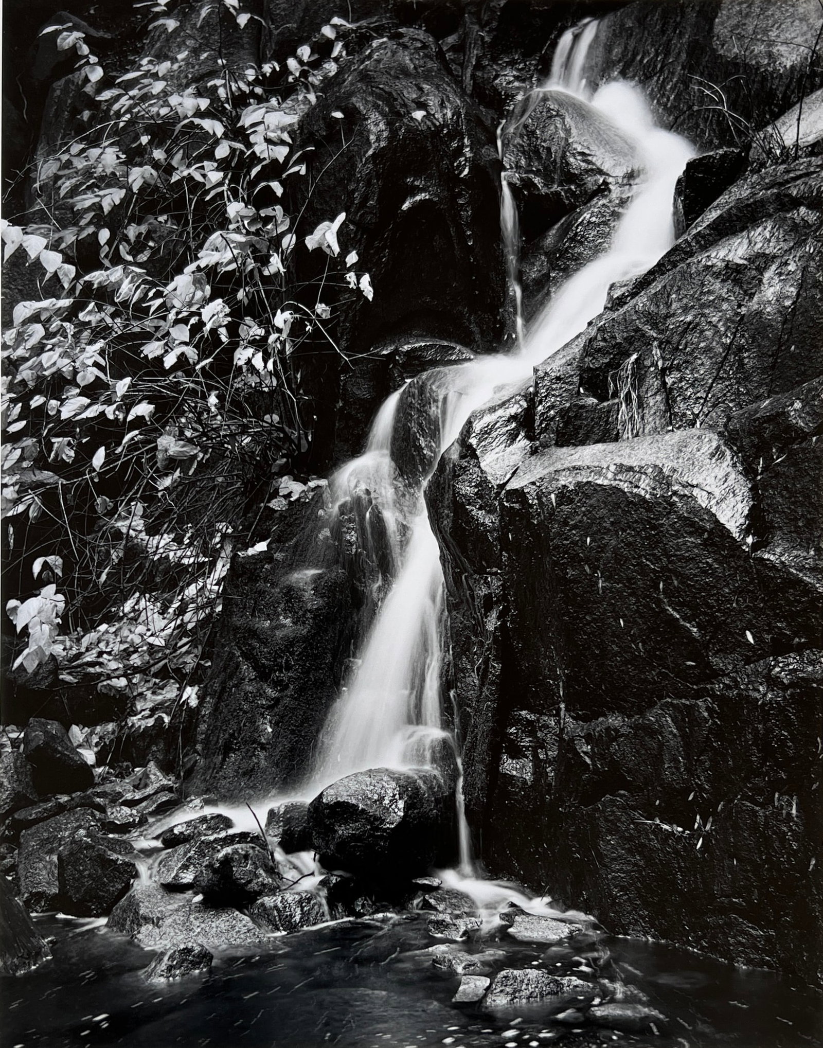 Henry Gilpin - Photograph signed (1 of 4)