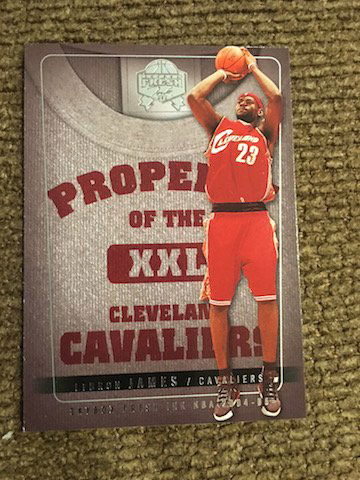 2004-05 SkyBox Fresk Ink Property Of #5 LeBron James (1 of 2)