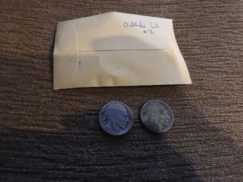 2 Buffalo Nickels (1 of 3)
