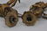 Pair of late 19th century gilt bronze original gas - 11