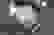 item-65035898=6