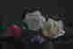 item-65036122=3