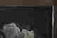 item-65036122=5