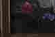 item-65036122=6