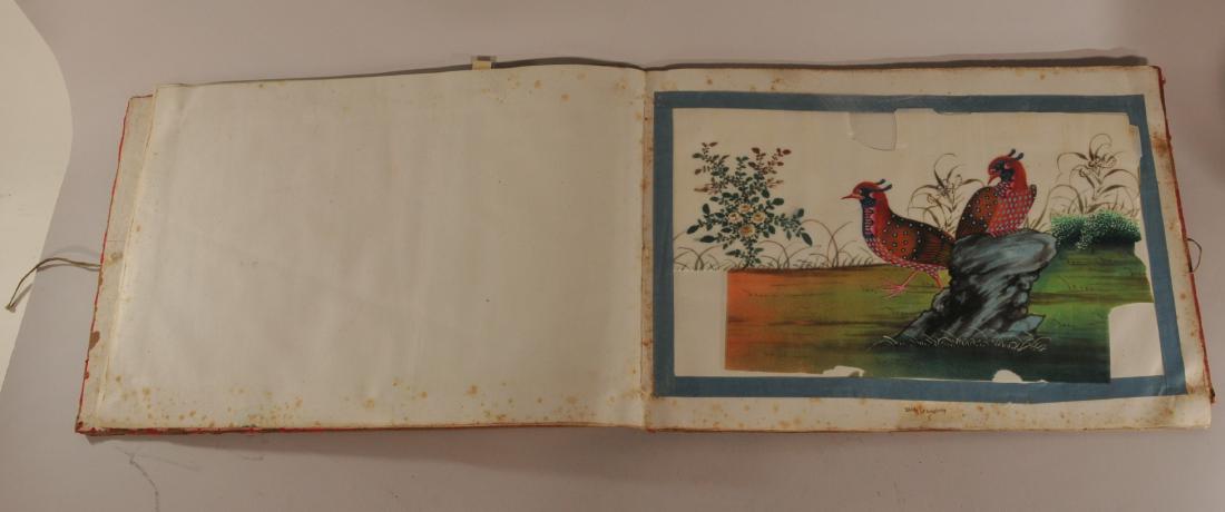 Pith paper album. China. 19th century. Mineral pigments (1 of 7)