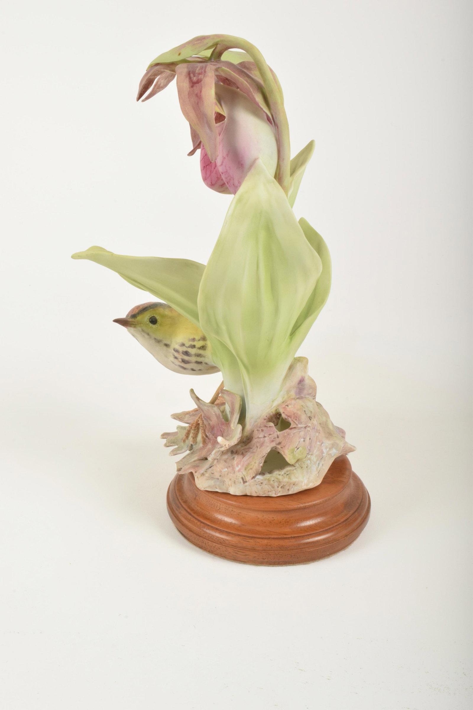 Dorothy Doughty for Royal Worcester "Oven Bird with: Dorothy Doughty for Royal Worcester. Bone China "Oven Bird with Lady Slipper Orchid," made in England. Approximately 10.75" high and 6.5" at widest point. With Box. Small loss to oak leaf on base.