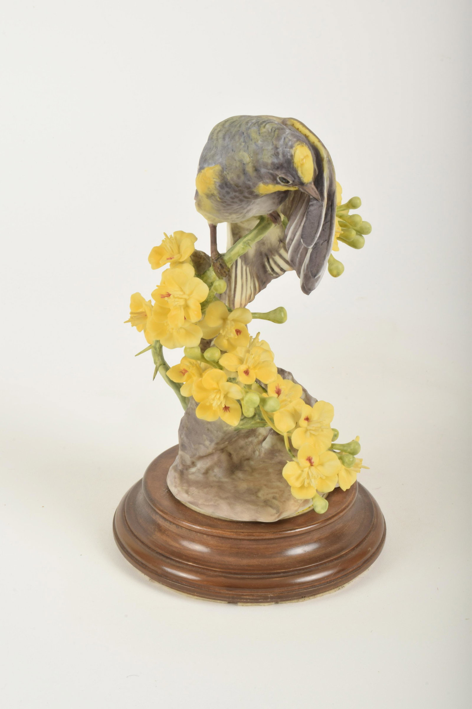 Dorothy Doughty for Royal Worcester "Audubon Warbler: Dorothy Doughty for Royal Worcester. Bone China "Audubon Warbler and Palo Verdi," made in England circa 1963. Approximately 8" high and 4.5" at widest point. With box. No obvious signs of signs of dam