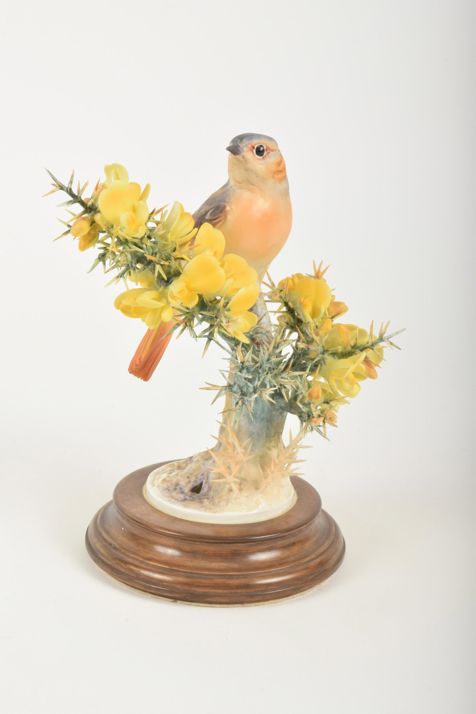 Dorothy Doughty for Royal Worcester "Redstart and: Dorothy Doughty for Royal Worcester. Bone China "Redstart Hen and Gorse," made in England circa 1968. Approximately 7.75" high and 6.5" at widest point. With box. Break to thorns.
