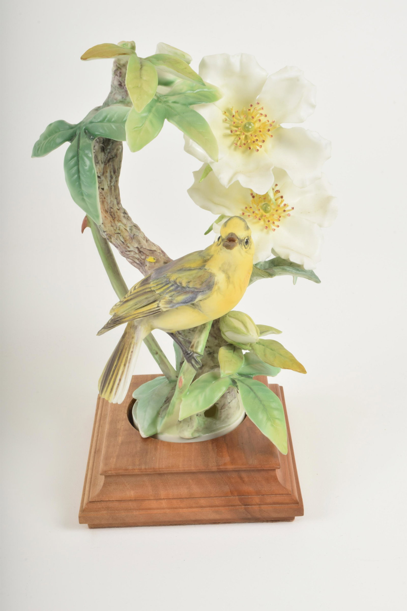 Dorothy Doughty for Royal Worcester "Hooded Warbler and: Dorothy Doughty for Royal Worcester. Bone China "Hooded Warbler and Cherokee Rose," made in England circa 1961. Approximately 10" high and 7" at widest point. With box. No obvious signs of signs of da
