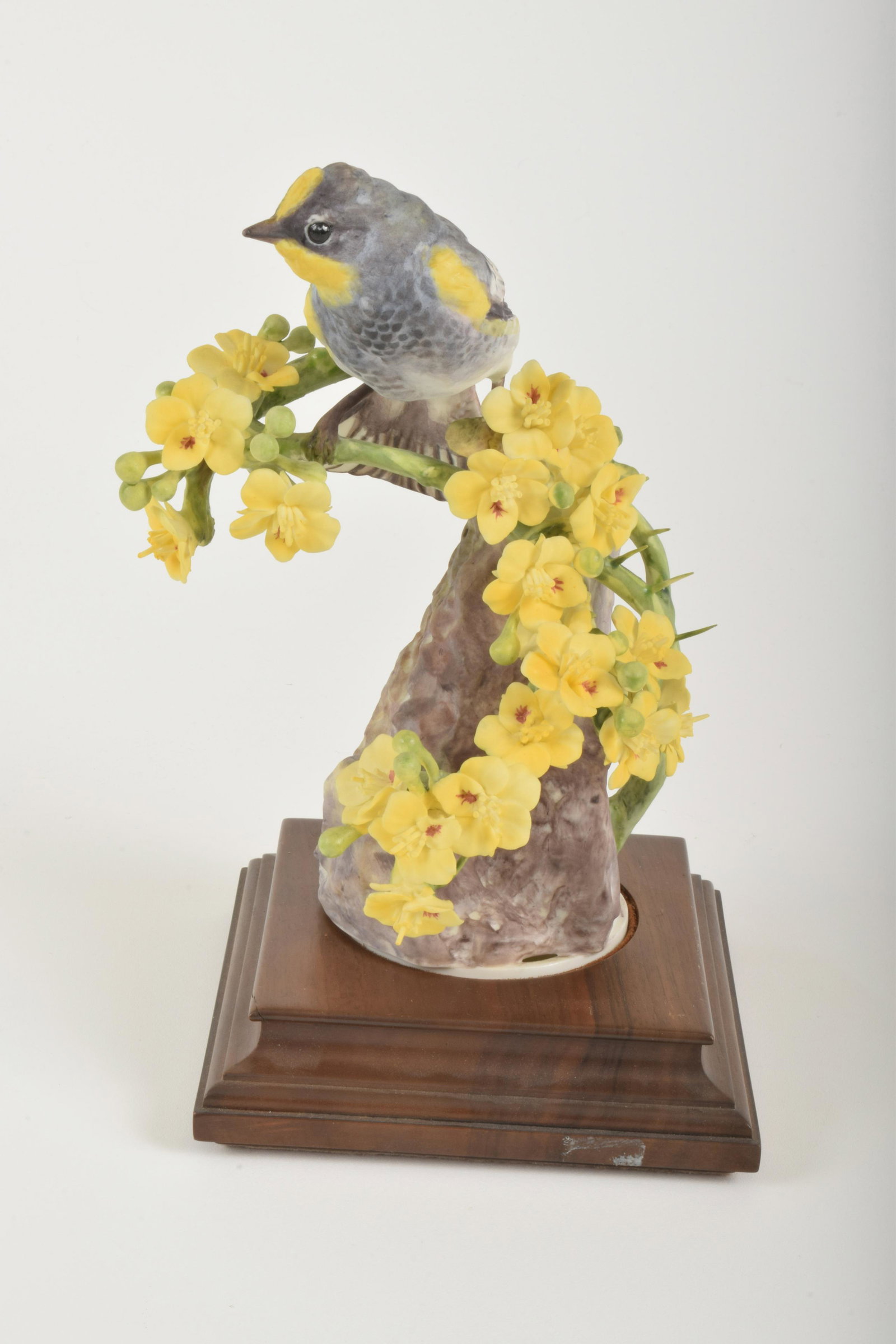 Dorothy Doughty for Royal Worcester "Audubon Warbler: Dorothy Doughty for Royal Worcester. Bone China "Audubon Warbler Cock and Palo Verdi," made in England circa 1963, Approximately 8.5" high and 5" at widest point. With box. No obvious signs of signs o
