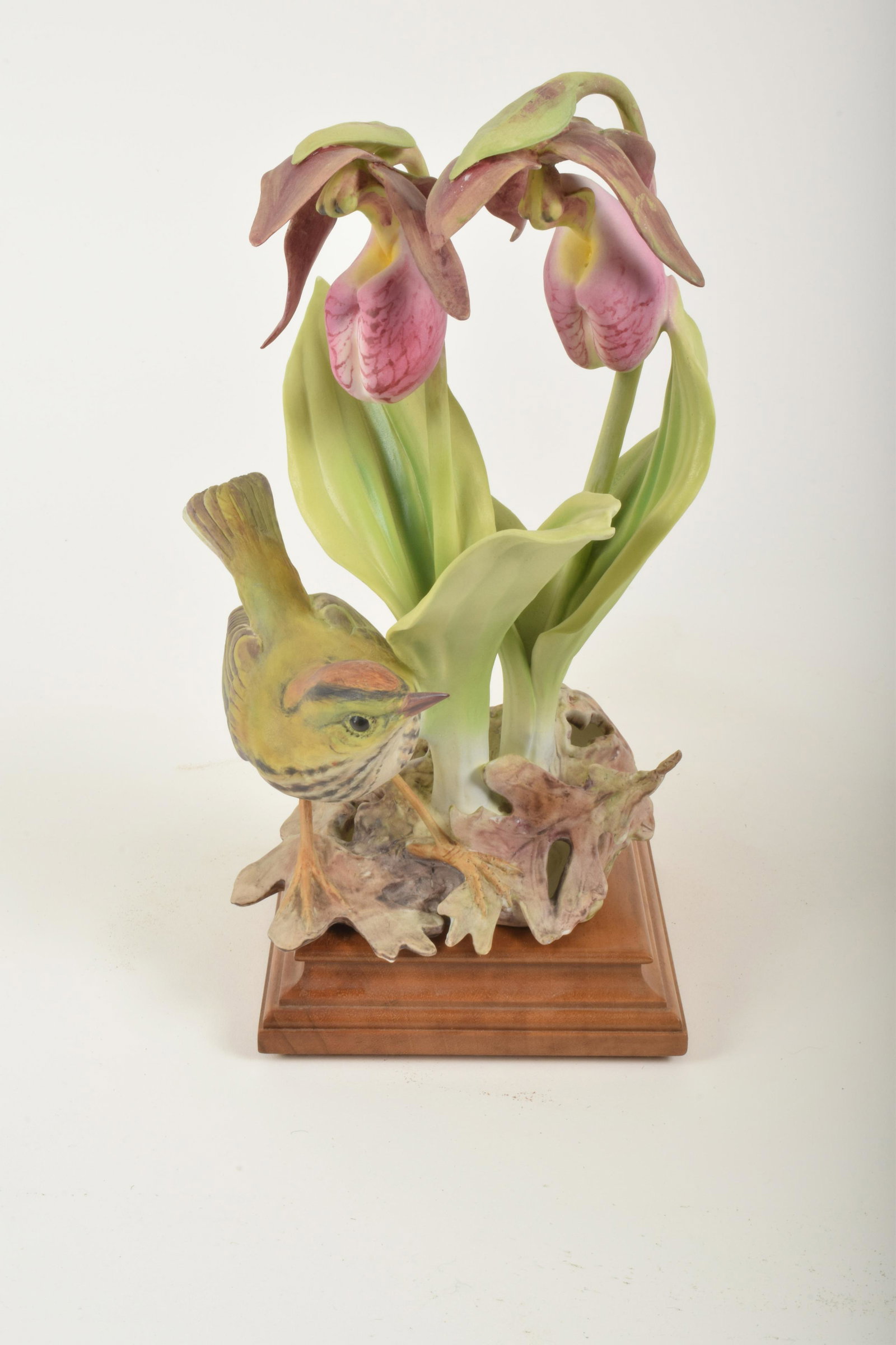 Dorothy Doughty for Royal Worcester "Oven Bird with: Dorothy Doughty for Royal Worcester. Bone China "Oven Bird with Lady Slipper Orchid," made in England. Approximately 10.75" high and 6.5" at widest point. With box. No obvious signs of signs of damage