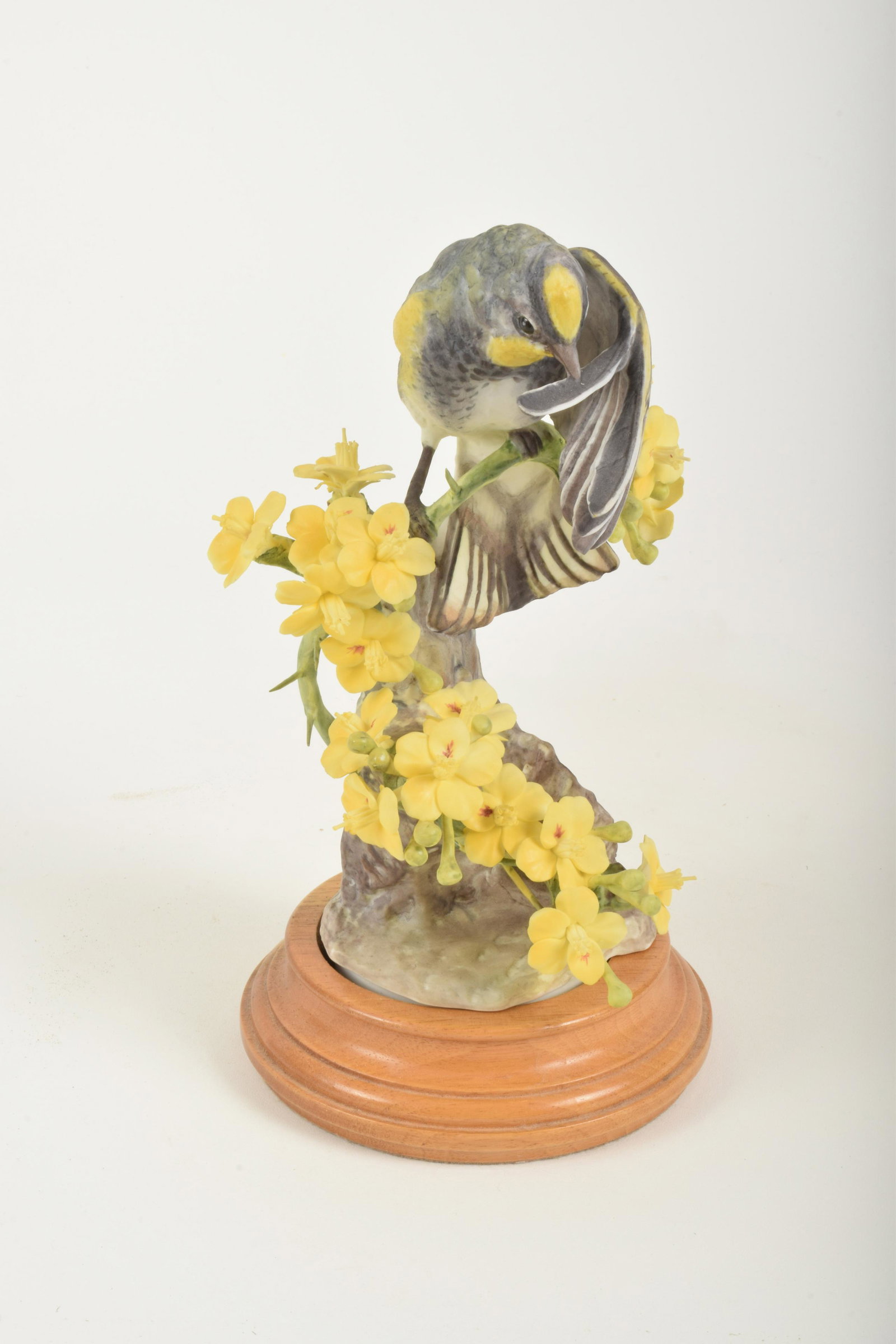 Dorothy Doughty for Royal Worcester "Audubon Warbler: Dorothy Doughty for Royal Worcester. Bone China "Audubon Warbler with Palo Verdi," made in England circa 1963. Approximately 8.5" high and 5" at widest point. With box. No obvious signs of signs of da