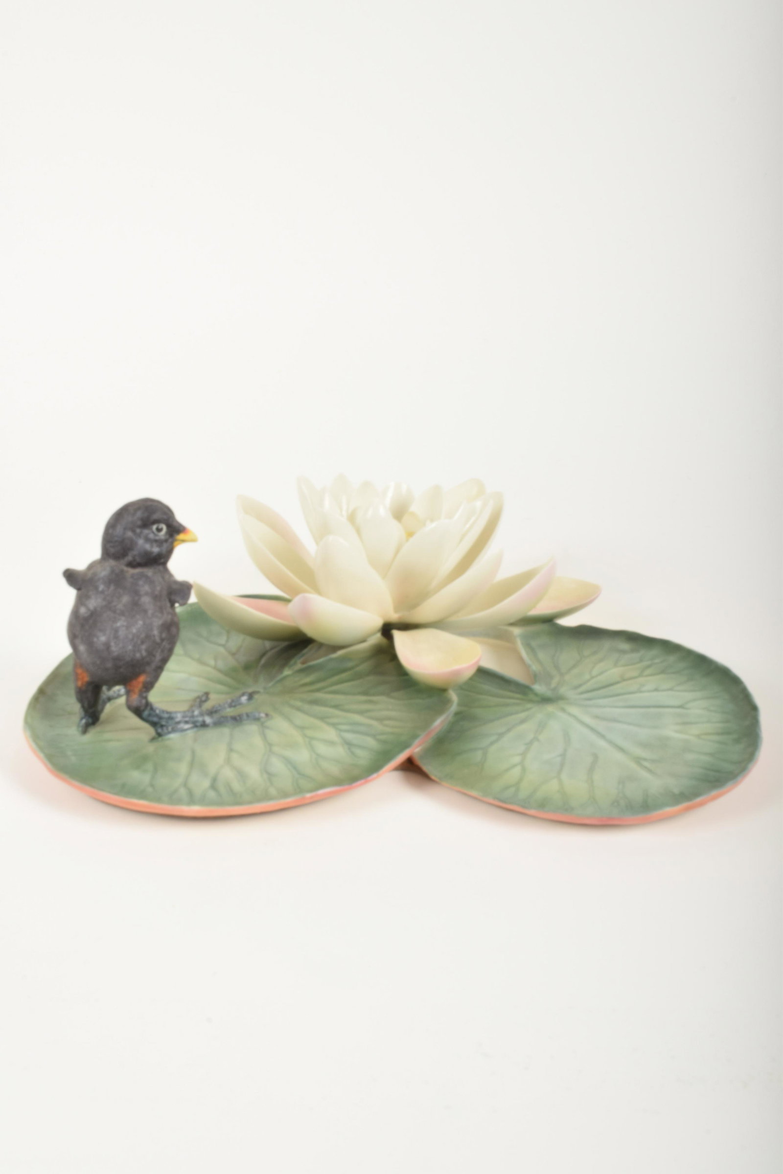 Dorothy Doughty for Royal Worcester "Moorhen Chick and: Dorothy Doughty for Royal Worcester. Bone China "Moorhen Chick and Water Lily," made in England circa 1964. Approximately 4" high and 12.5" at widest point. No box. No obvious sign of damage.