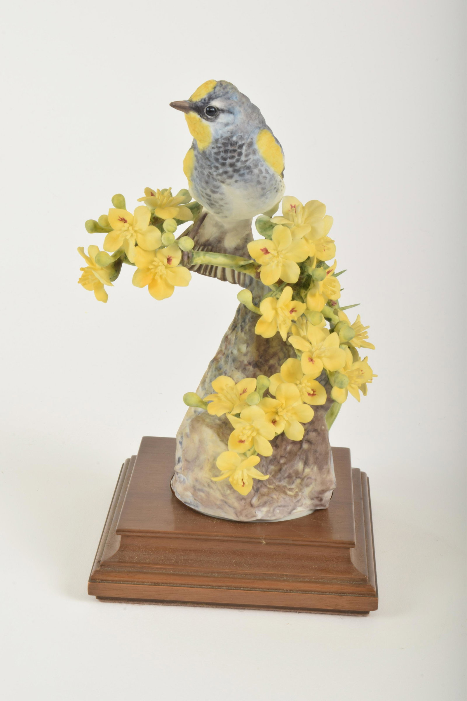 Dorothy Doughty for Royal Worcester "Audubon Warbler: Dorothy Doughty for Royal Worcester. Bone China "Audubon Warbler with Palo Verdi," made in England circa 1963. Approximately 8.5" high and 5" at widest point. With box. No obvious signs of signs of da