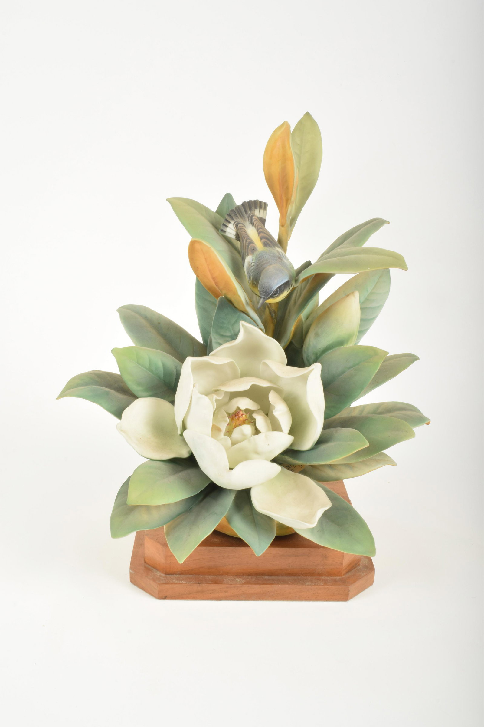 Dorothy Doughty for Royal Worcester "Magnolia Warbler": Dorothy Doughty for Royal Worcester. Bone China "Magnolia Warbler," made in England. Approximately 13.75" high and 13.75" at widest point. No box. No obvious signs of signs of damage.
