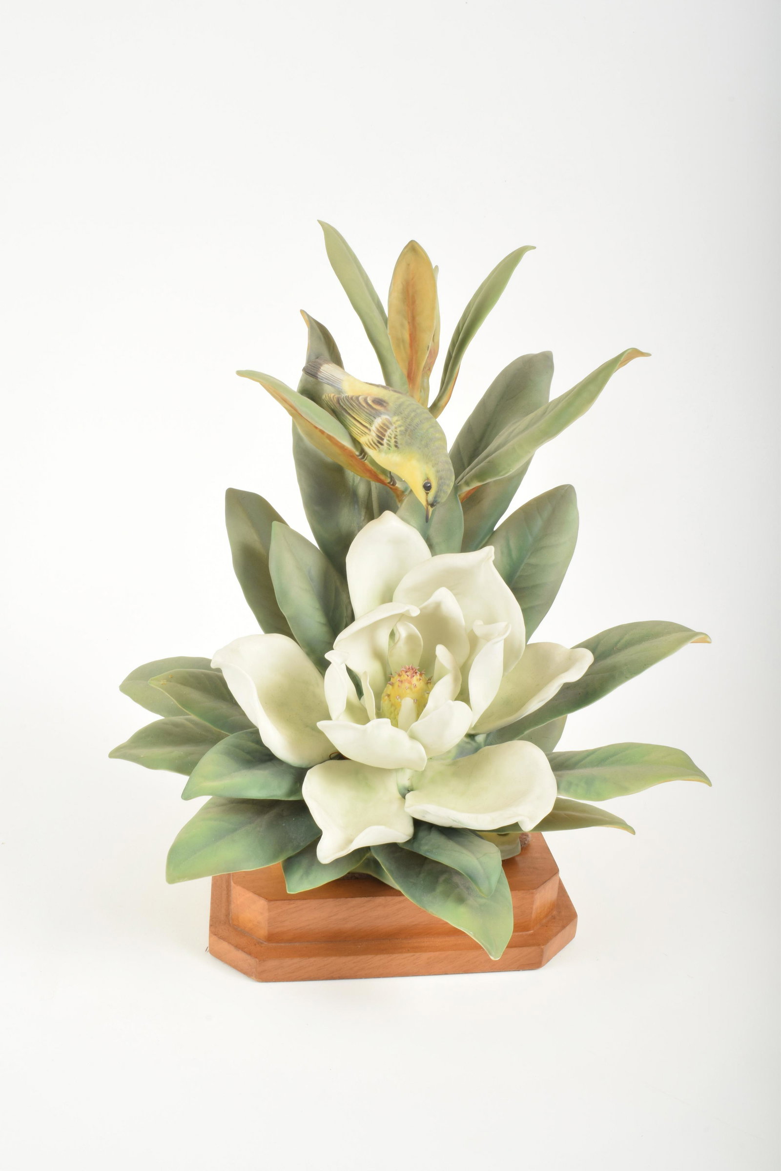 Dorothy Doughty for Royal Worcester "Magnolia Warbler": Dorothy Doughty for Royal Worcester. Bone China "Magnolia Warbler," made in England. Approximately 14" high and 14" at widest point. With box. No obvious signs of signs of damage.