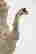 item-86166771=6