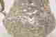 item-86166819=7